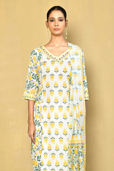 Women's printed Gown kurta with paint sets